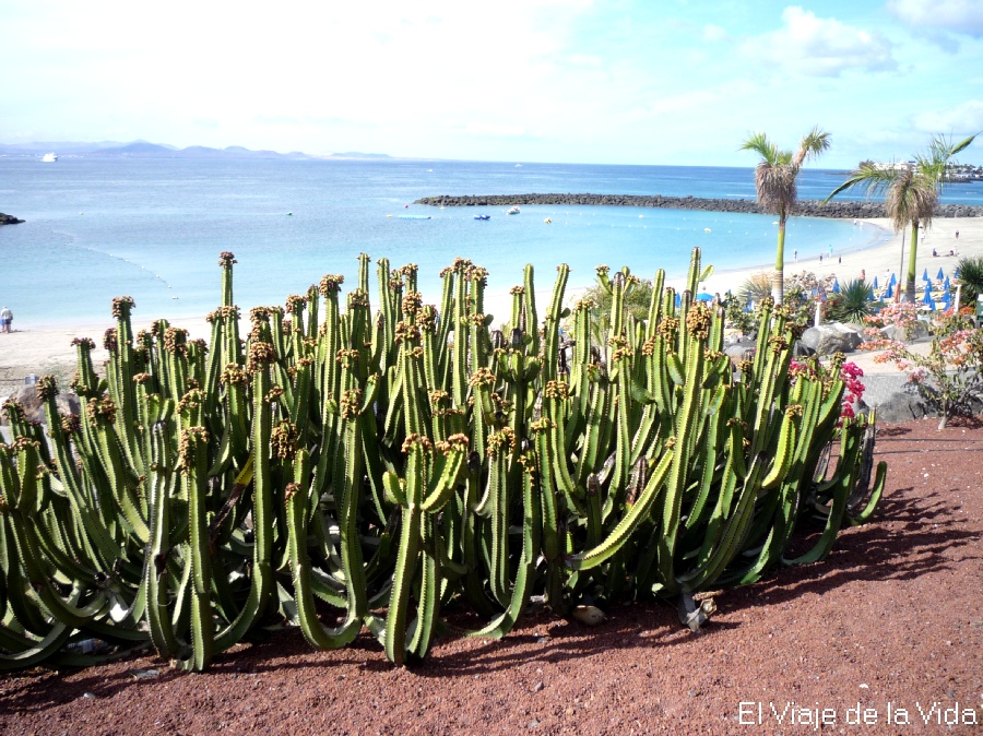 lanzarote con niños en semana santa