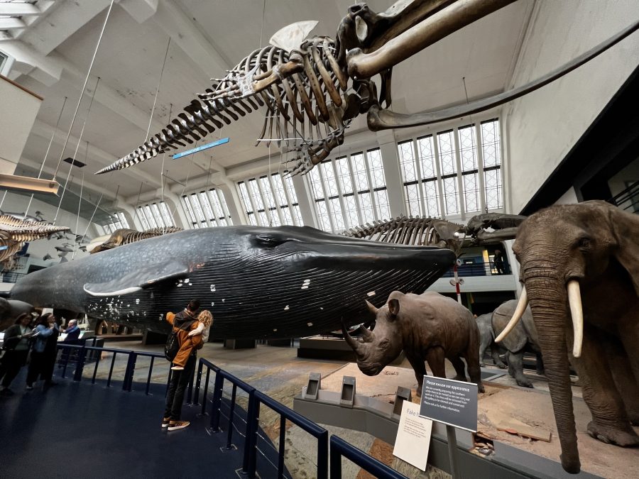 museos en londres para niños